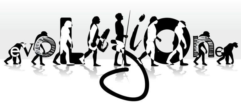 Memorie di un grafico – L’evoluzione