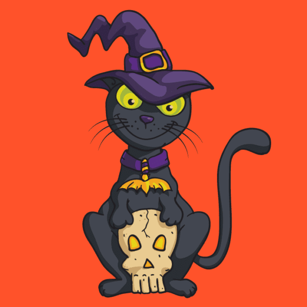 1477741599-4685-halloween-witch-cat