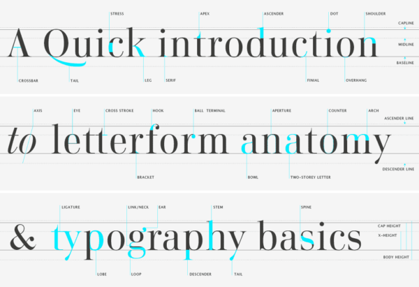type-glossary-letterform-anatomy