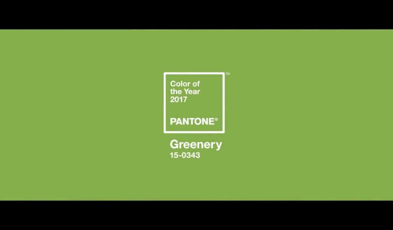 GREENERY: Il colore pantone 2017 GREENERY: Il colore pantone 2017