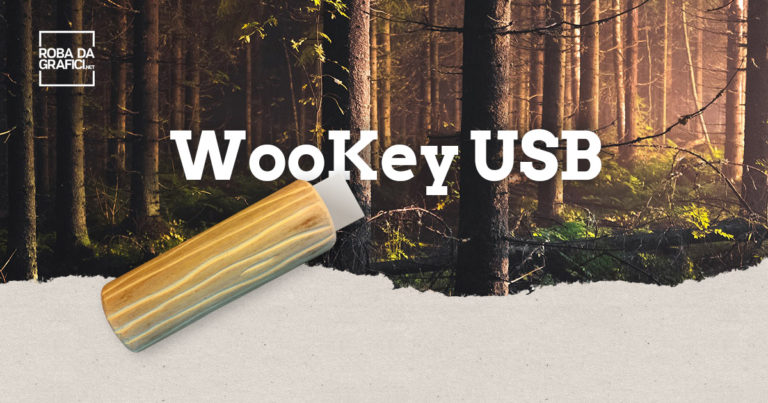 WooKey USB – Tra natura e tecnologia