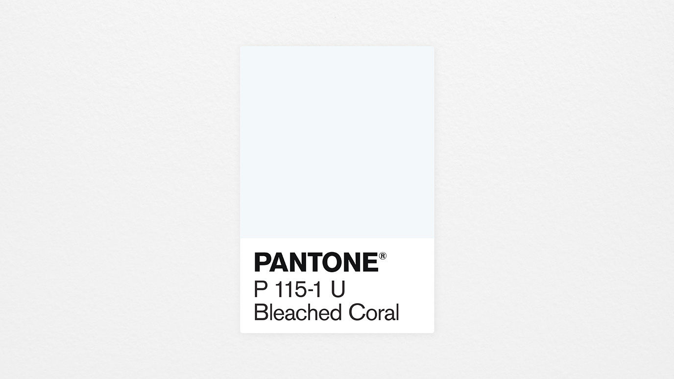 coloroftheyear_swatch Il colore pantone del 2020 'sarà Bleached Coral'