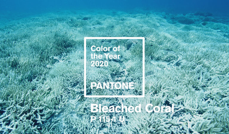 Il colore pantone del 2020 ‘sarà Bleached Coral’ Il colore pantone del 2020 ‘sarà Bleached Coral’