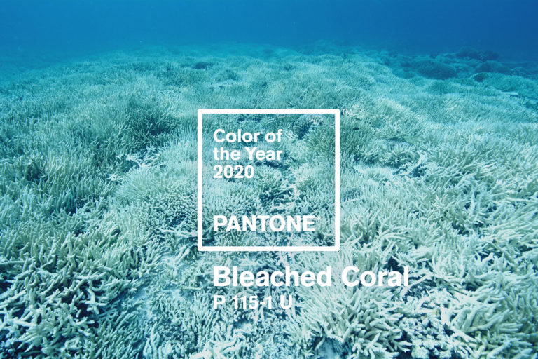 Il colore pantone del 2020 ‘sarà Bleached Coral’