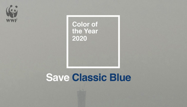 SaveClassicBlue – WWF vs PANTONE